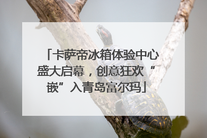卡萨帝冰箱体验中心盛大启幕，创意狂欢“嵌”入青岛富尔玛