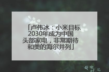 卢伟冰：小米目标2030年成为中国头部家电，非常期待和美的海尔并列