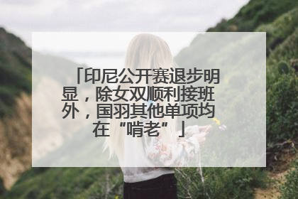 印尼公开赛退步明显，除女双顺利接班外，国羽其他单项均在“啃老”