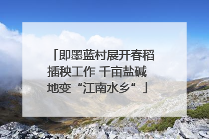 即墨蓝村展开春稻插秧工作 千亩盐碱地变“江南水乡”