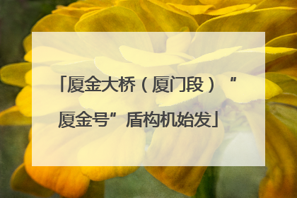 厦金大桥（厦门段）“厦金号”盾构机始发