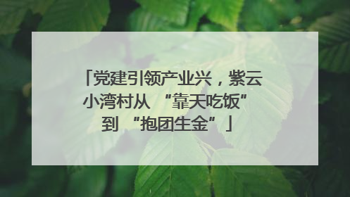 党建引领产业兴，紫云小湾村从 “靠天吃饭” 到 “抱团生金”