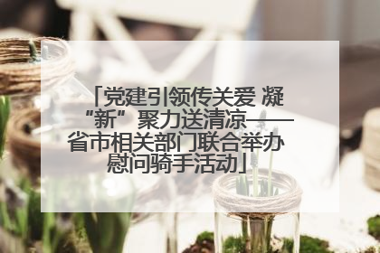 党建引领传关爱 凝“新”聚力送清凉——省市相关部门联合举办慰问骑手活动