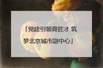 党建引领育匠才 筑梦北京城市副中心