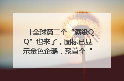 全球第二个“满级QQ”也来了，图标已显示金色企鹅，系首个“满级QQ”的小号