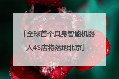 全球首个具身智能机器人4S店将落地北京
