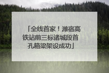 全线首家！潍宿高铁站前三标诸城段首孔箱梁架设成功