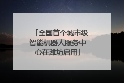 全国首个城市级智能机器人服务中心在潍坊启用
