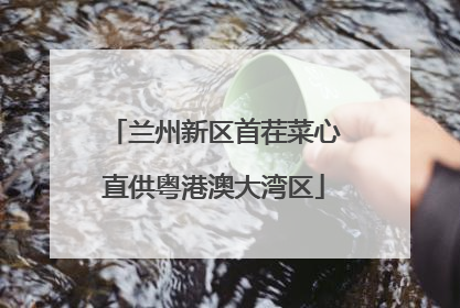 兰州新区首茬菜心直供粤港澳大湾区