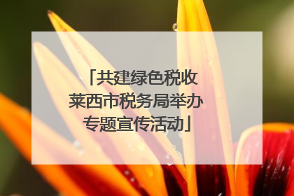 共建绿色税收 莱西市税务局举办专题宣传活动