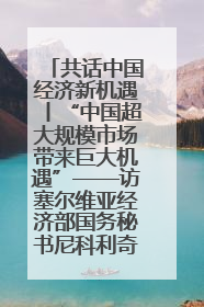 共话中国经济新机遇丨“中国超大规模市场带来巨大机遇”——访塞尔维亚经济部国务秘书尼科利奇