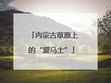 内蒙古草原上的“爱马士”
