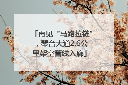再见“马路拉链”，琴台大道2.6公里架空管线入廊