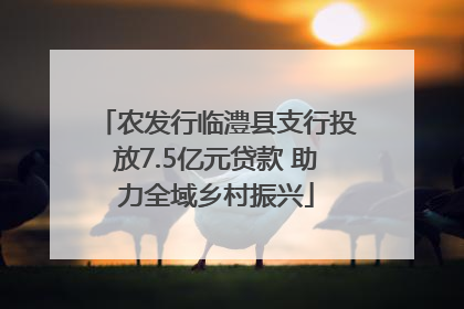 农发行临澧县支行投放7.5亿元贷款 助力全域乡村振兴