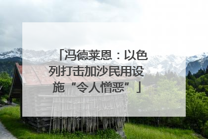 冯德莱恩：以色列打击加沙民用设施“令人憎恶”