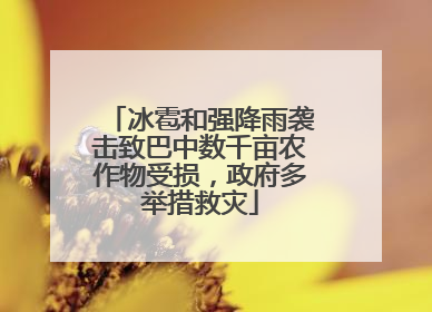 冰雹和强降雨袭击致巴中数千亩农作物受损，政府多举措救灾