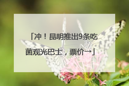 冲！昆明推出9条吃菌观光巴士，票价→