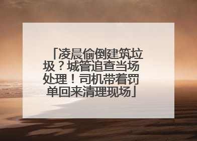 凌晨偷倒建筑垃圾？城管追查当场处理！司机带着罚单回来清理现场