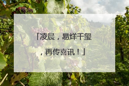 凌晨，易烊千玺，再传喜讯！