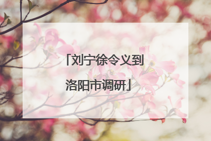 刘宁徐令义到洛阳市调研