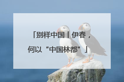 别样中国丨伊春，何以“中国林都”