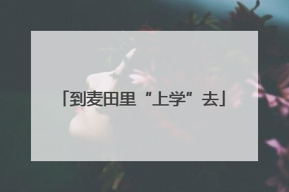 到麦田里“上学”去