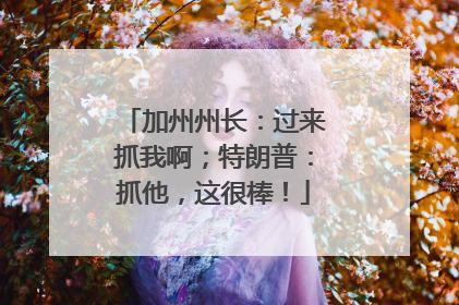 加州州长：过来抓我啊；特朗普：抓他，这很棒！
