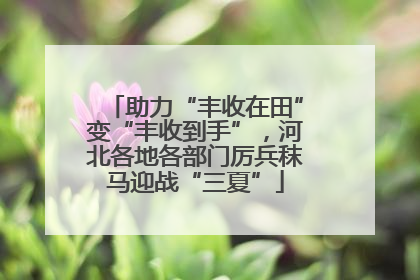 助力“丰收在田”变“丰收到手”，河北各地各部门厉兵秣马迎战“三夏”