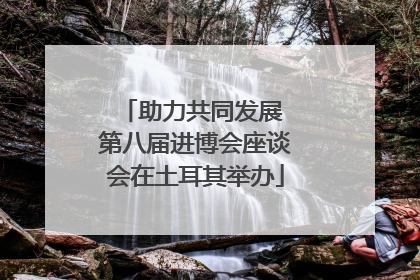 助力共同发展 第八届进博会座谈会在土耳其举办