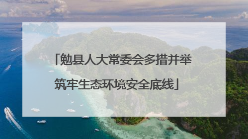 勉县人大常委会多措并举筑牢生态环境安全底线