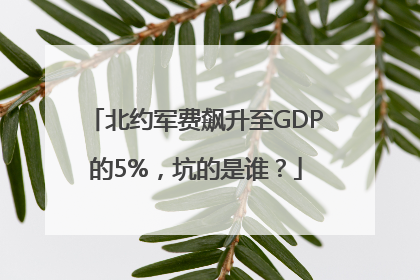 北约军费飙升至GDP的5%，坑的是谁？