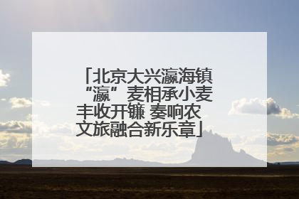 北京大兴瀛海镇“瀛”麦相承小麦丰收开镰 奏响农文旅融合新乐章