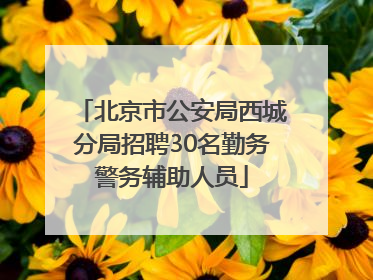 北京市公安局西城分局招聘30名勤务警务辅助人员
