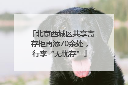 北京西城区共享寄存柜再添70余处，行李“无忧存”