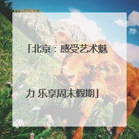 北京：感受艺术魅力 乐享周末假期