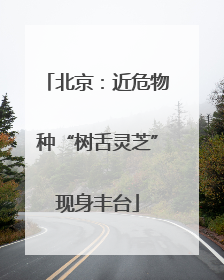 北京：近危物种“树舌灵芝”现身丰台