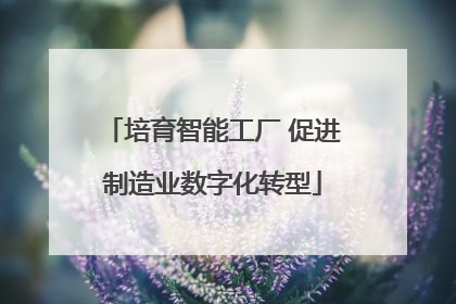 培育智能工厂 促进制造业数字化转型