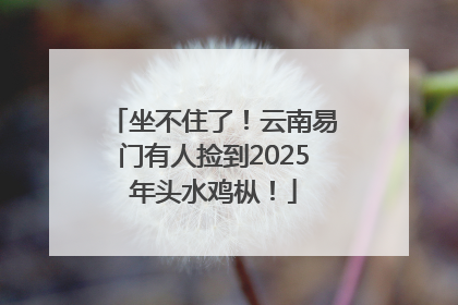 坐不住了！云南易门有人捡到2025年头水鸡枞！
