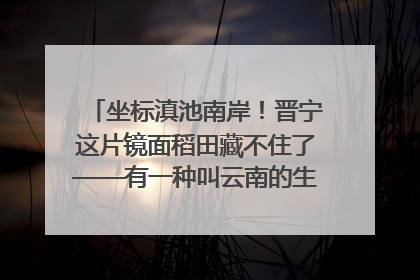 坐标滇池南岸！晋宁这片镜面稻田藏不住了——有一种叫云南的生活之365天