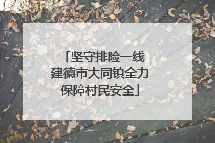 坚守排险一线 建德市大同镇全力保障村民安全