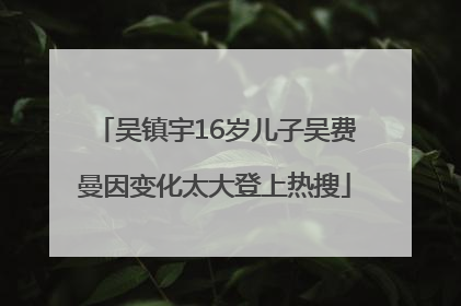 吴镇宇16岁儿子吴费曼因变化太大登上热搜