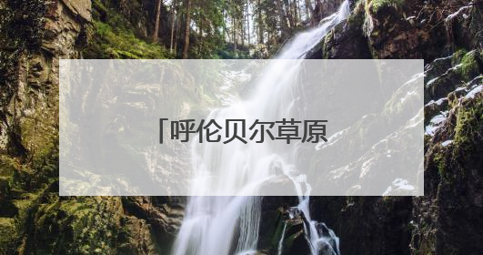 呼伦贝尔草原上狼崽撒欢儿