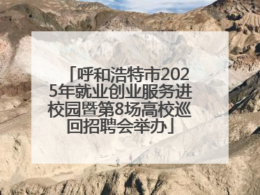 呼和浩特市2025年就业创业服务进校园暨第8场高校巡回招聘会举办