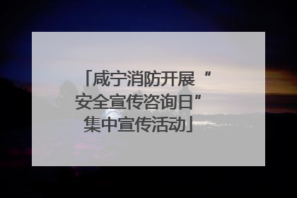 咸宁消防开展“安全宣传咨询日”集中宣传活动