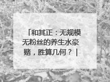 和其正：无规模无粉丝的养生水豪赌，胜算几何？｜品牌观察