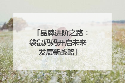 品牌进阶之路：袋鼠妈妈开启未来发展新战略