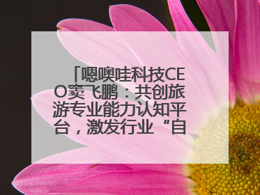 嗯噢哇科技CEO窦飞鹏：共创旅游专业能力认知平台，激发行业“自生长”力量