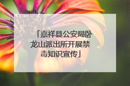 嘉祥县公安局卧龙山派出所开展禁毒知识宣传