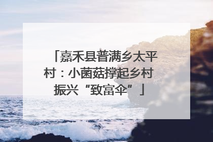 嘉禾县普满乡太平村：小菌菇撑起乡村振兴“致富伞”