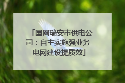 国网瑞安市供电公司：自主实施强业务 电网建设提质效